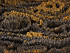 detail2