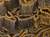 detail1