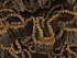 detail1